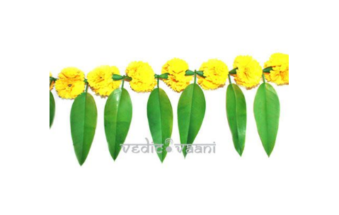 Marigold Bandarwar – Design II