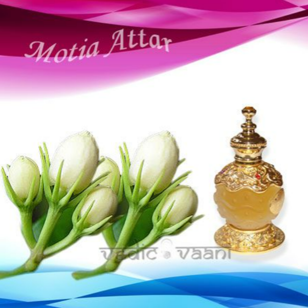 Motia Attar