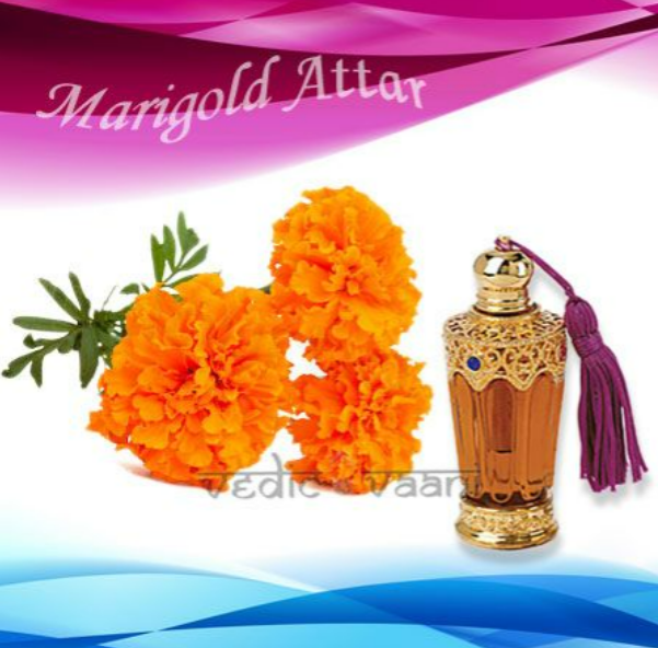 Genda Attar