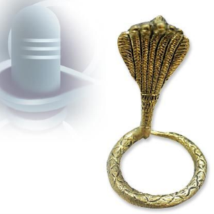 Thin Five headed Snake